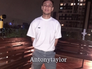 Antonytaylor