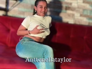 Anttonellataylor