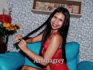 Arianagrey