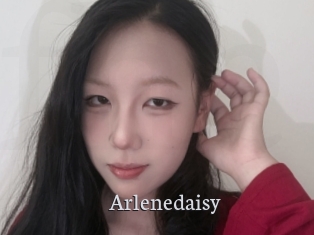 Arlenedaisy