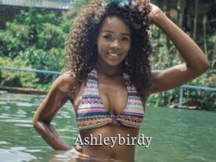 Ashleybirdy