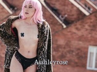Asshleyrose