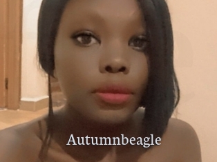 Autumnbeagle
