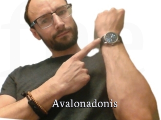 Avalonadonis