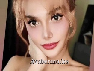 Ayabermudes