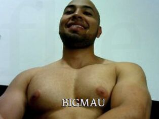 BIGMAU