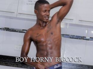 BOY_HORNY_BIGCOCK