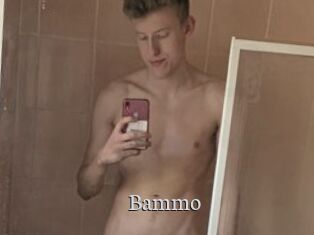 Bammo