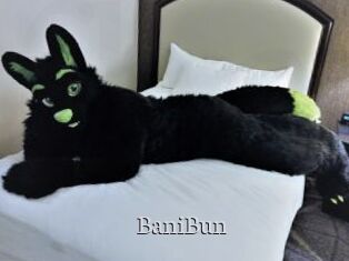 BaniBun