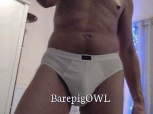 BarepigOWL