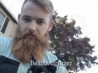 Beardedginger