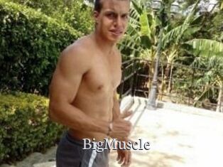 Big_Muscle