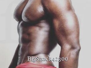 BigSnack42300