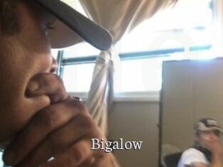 Bigalow Free Host Empire