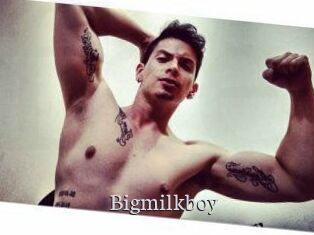 Bigmilkboy