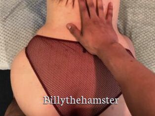 Billythehamster