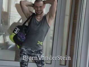 BjornVanderStein