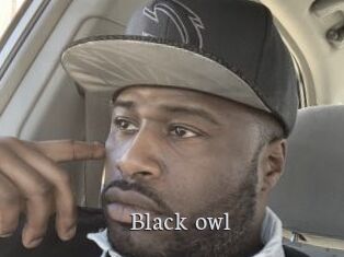 Black_owl