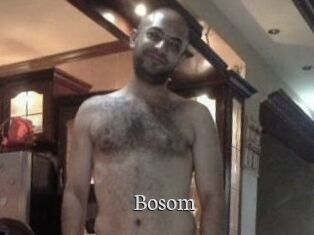 Bosom