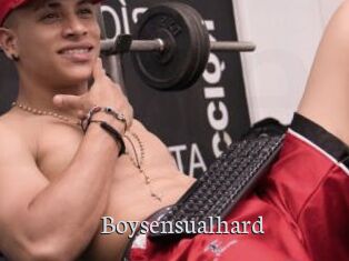 Boysensualhard