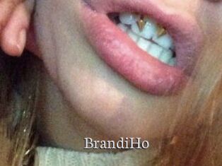 BrandiHo