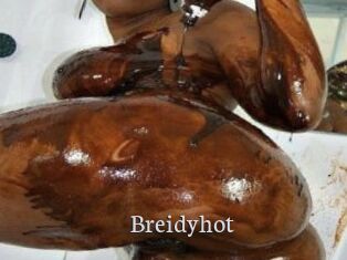 Breidyhot