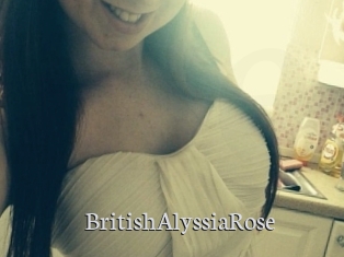 BritishAlyssiaRose