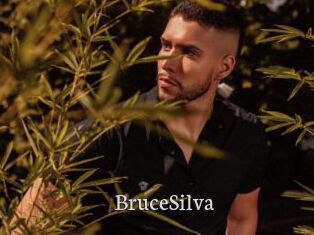 BruceSilva