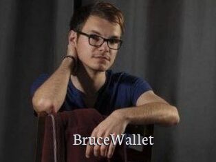 BruceWallet
