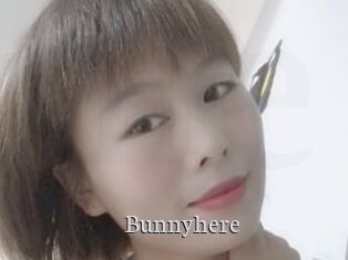 Bunnyhere