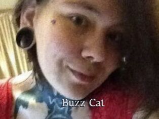 Buzz_Cat
