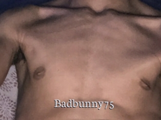 Badbunny75