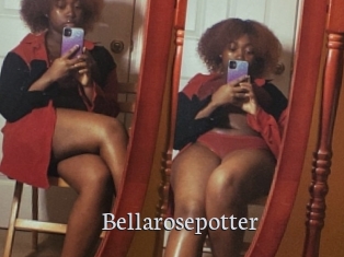 Bellarosepotter