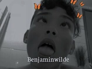 Benjaminwilde