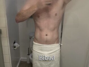 Bibud