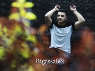 Bigassalex