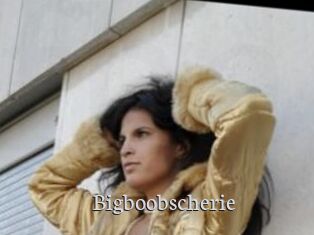 Bigboobscherie
