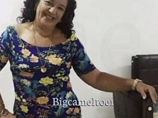 Bigcameltoe1