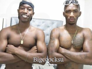 Bigcoocksu