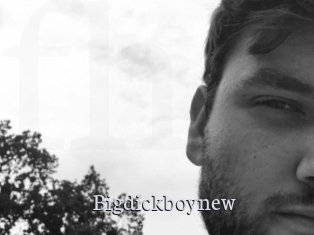 Bigdickboynew