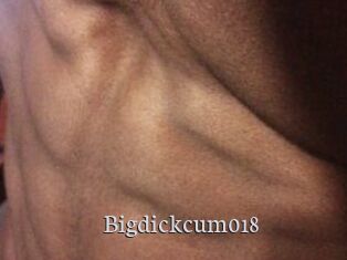 Bigdickcum018