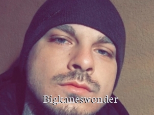 Bigkaneswonder
