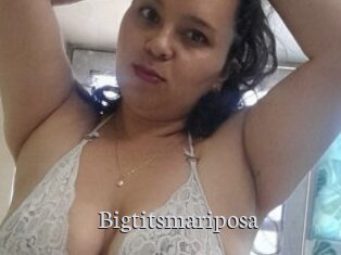 Bigtitsmariposa