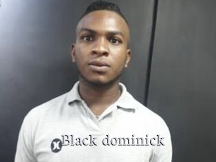 Black_dominick