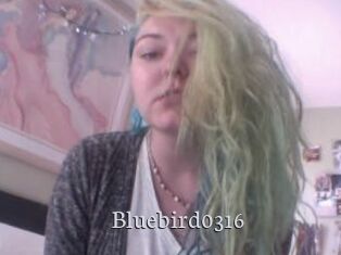 Bluebird0316