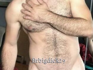 Brbigdick29