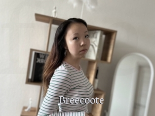 Breecoote