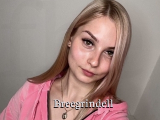 Breegrindell