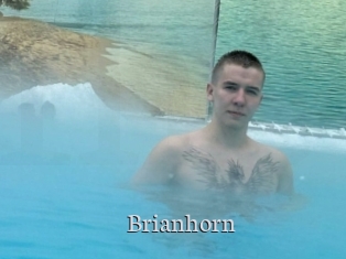 Brianhorn