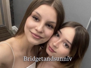 Bridgetandsunniv